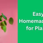 Easy Homemade Pot for Plants