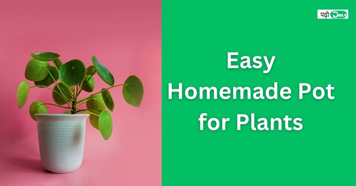 Easy Homemade Pot for Plants