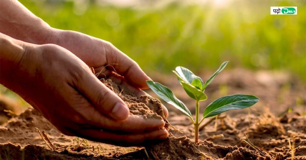 Prepare Soil For Planting 2024