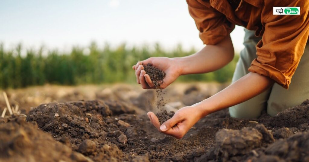 Prepare Soil For Planting 2024