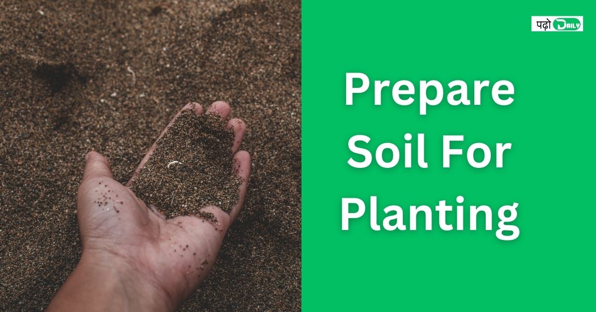 Prepare Soil For Planting 2024